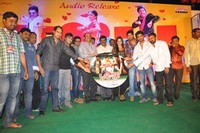 Nuvva Nena Audio Launch